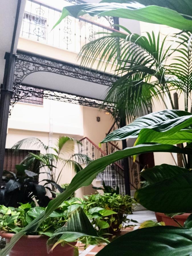 Botanic Suite Malaga Exterior photo